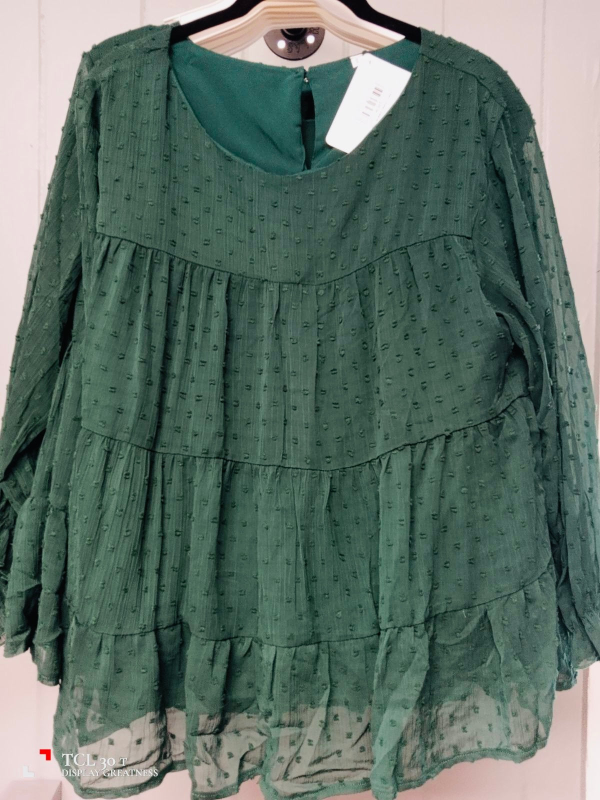 Green sheer sleeve top